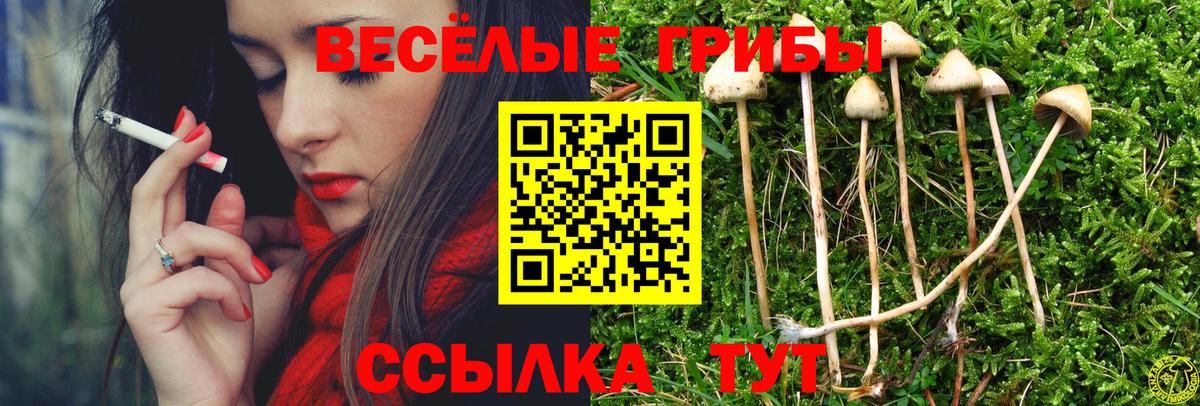 Галлюциногенные грибы Magic Shrooms  Псилоцибиновые грибы мухоморы  Дедовск  Вход с VPN 